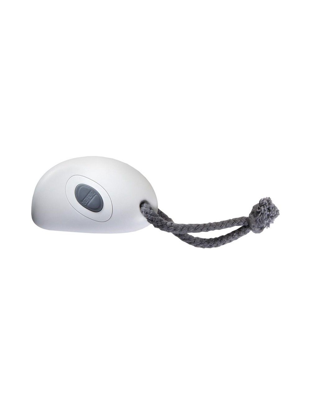 Radio Remote Control for LED Light - ZIEHER