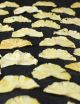 Pineapple - Dried Slices 100% Natural (100 g) - FRONA