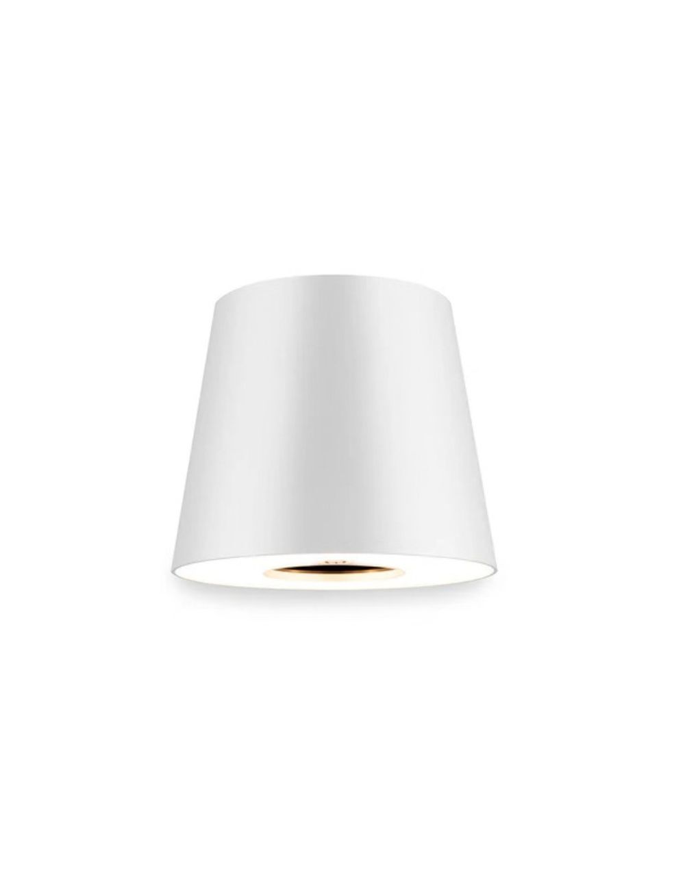 Portable White LED bottle light — lighting module with dimmer switch