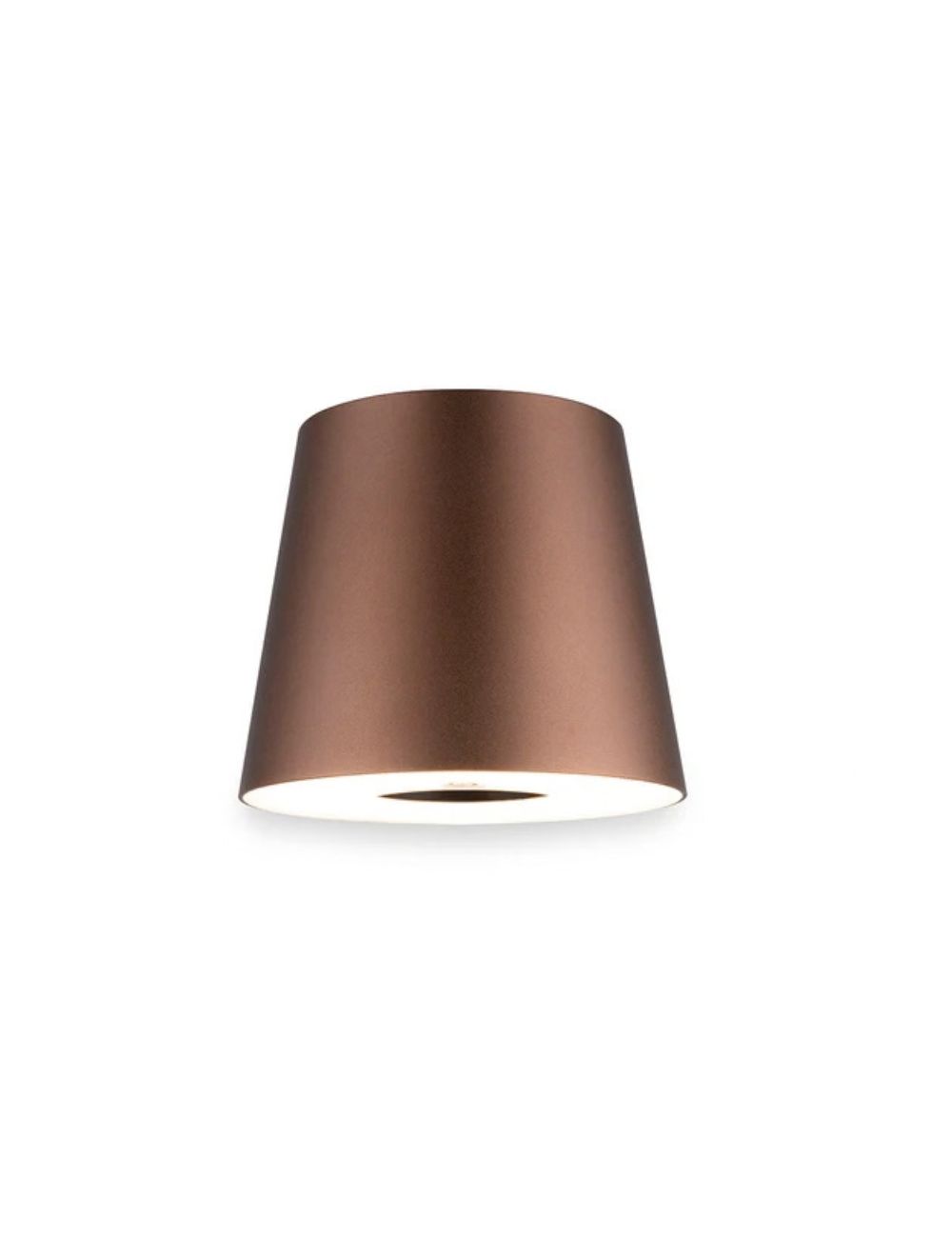 Portable Bronze LED bottle light — lighting module with dimmer switch