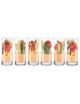 Tube - Glass Verrine (x12) - PADERNO