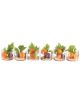 Cylinder - Glass Verrine (x12) - PADERNO
