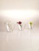 Biseautée - Verrine de dégustation polystyrène (x100) - PADERNO